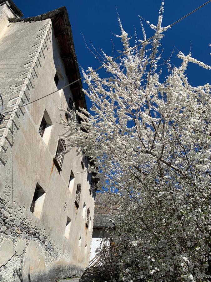 Casa Mille Sassi Villa Lionza Dış mekan fotoğraf